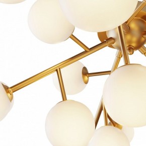Потолочная люстра Maytoni Dallas MOD545CL-20BS в Покачах - pokachi.mebel24.online | фото 2