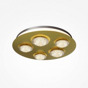 Потолочная люстра Maytoni Pharao MOD361CL-L58BS3K в Покачах - pokachi.mebel24.online | фото