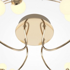 Потолочная люстра Maytoni Tessara MOD081CL-L36G3K в Покачах - pokachi.mebel24.online | фото 4
