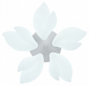 Потолочная люстра Natali Kovaltseva Effect LED LAMPS 81116 в Покачах - pokachi.mebel24.online | фото 3