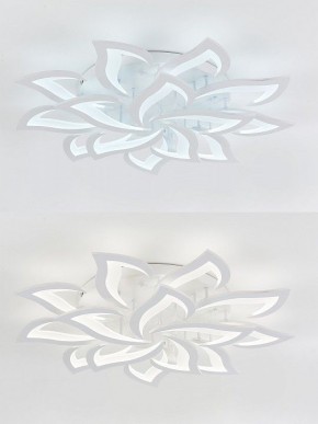 Потолочная люстра Natali Kovaltseva Olimp LED LAMPS 81335 в Покачах - pokachi.mebel24.online | фото 6