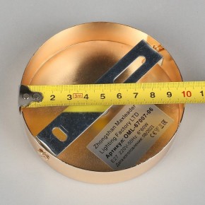 Потолочная люстра Omnilux Acuto OML-67007-06 в Покачах - pokachi.mebel24.online | фото 8