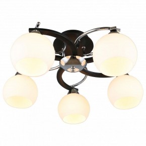 Потолочная люстра Omnilux Caldiero OML-25407-05 в Покачах - pokachi.mebel24.online | фото 2