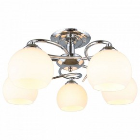 Потолочная люстра Omnilux Casoria OML-25107-05 в Покачах - pokachi.mebel24.online | фото 2