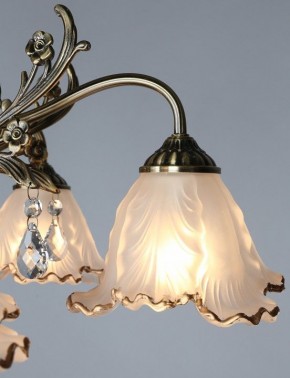 Потолочная люстра Omnilux Petrara OML-54807-05 в Покачах - pokachi.mebel24.online | фото 3