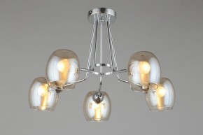 Потолочная люстра Omnilux Tesero OML-27307-05 в Покачах - pokachi.mebel24.online | фото 6
