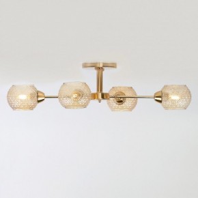 Потолочная люстра Rivoli Amalia Б0050815 в Покачах - pokachi.mebel24.online | фото 4