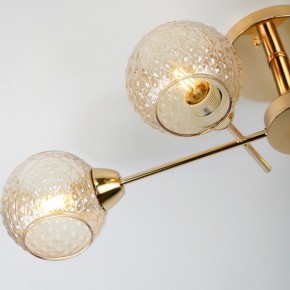 Потолочная люстра Rivoli Amalia Б0050815 в Покачах - pokachi.mebel24.online | фото 8