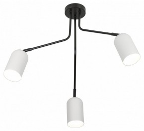 Потолочная люстра Rivoli Rosalinda Б0064987 в Покачах - pokachi.mebel24.online | фото 4