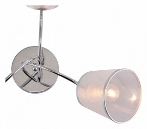 Потолочная люстра Rivoli Shirley Б0059981 в Покачах - pokachi.mebel24.online | фото 4