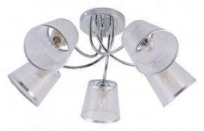 Потолочная люстра Rivoli Shirley Б0059982 в Покачах - pokachi.mebel24.online | фото