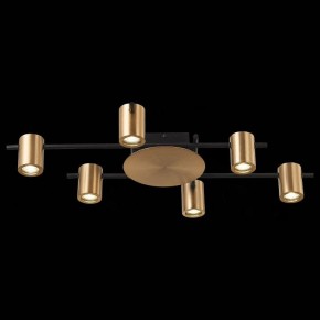 Потолочная люстра ST-Luce Veroli SL1207.402.06 в Покачах - pokachi.mebel24.online | фото 5