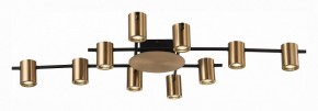 Потолочная люстра ST-Luce Veroli SL1207.402.10 в Покачах - pokachi.mebel24.online | фото 2