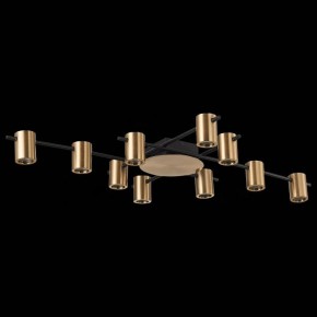 Потолочная люстра ST-Luce Veroli SL1207.402.10 в Покачах - pokachi.mebel24.online | фото 3