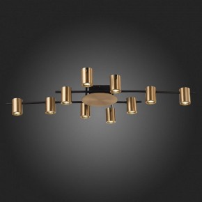 Потолочная люстра ST-Luce Veroli SL1207.402.10 в Покачах - pokachi.mebel24.online | фото 6