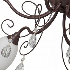 Потолочная люстра Vitaluce V1472 V1472/6PL в Покачах - pokachi.mebel24.online | фото 3