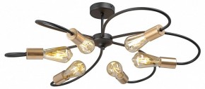 Потолочная люстра Vitaluce V3076 V3076-1/6PL в Покачах - pokachi.mebel24.online | фото 3