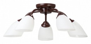 Потолочная люстра Vitaluce V3184 V3252/5PL в Покачах - pokachi.mebel24.online | фото