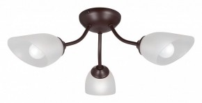 Потолочная люстра Vitaluce V3184 V3404/3PL в Покачах - pokachi.mebel24.online | фото