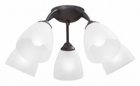Потолочная люстра Vitaluce V3184 V3737-2/5PL в Покачах - pokachi.mebel24.online | фото