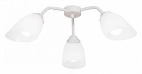 Потолочная люстра Vitaluce V31950 V31950/3PL в Покачах - pokachi.mebel24.online | фото