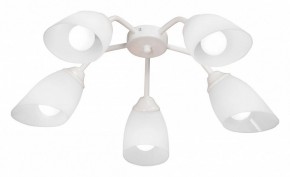 Потолочная люстра Vitaluce V31950 V31950/5PL в Покачах - pokachi.mebel24.online | фото