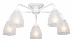 Потолочная люстра Vitaluce  V3946-0/5PL в Покачах - pokachi.mebel24.online | фото