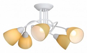 Потолочная люстра Vitaluce V3955 V3955-0/5PL в Покачах - pokachi.mebel24.online | фото 2