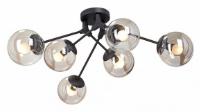 Потолочная люстра Vitaluce  V4323-1/6PL в Покачах - pokachi.mebel24.online | фото