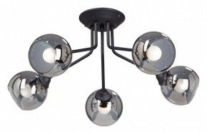 Потолочная люстра Vitaluce  V4724-1/5PL в Покачах - pokachi.mebel24.online | фото