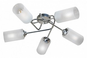 Потолочная люстра Vitaluce  V4909-9/5PL в Покачах - pokachi.mebel24.online | фото