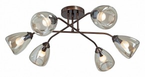 Потолочная люстра Vitaluce  V4954-7/6PL в Покачах - pokachi.mebel24.online | фото