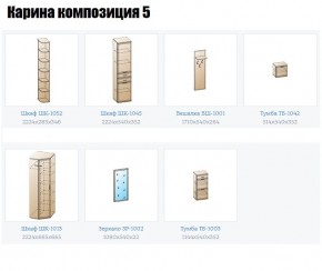 Прихожая Карина (модульная) в Покачах - pokachi.mebel24.online | фото 2