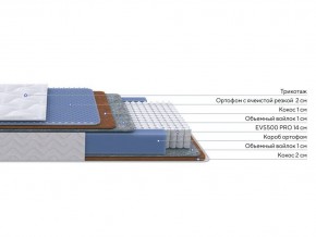 PROxSON Матрас Active Duo M/F (Ткань Трикотаж Эко) 160x195 в Покачах - pokachi.mebel24.online | фото 2