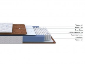PROxSON Матрас Active F Roll (Ткань Трикотаж Эко) 160x190 в Покачах - pokachi.mebel24.online | фото 2