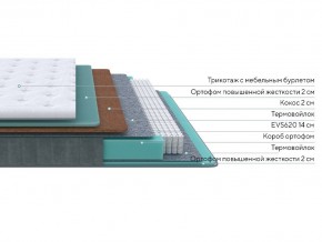 PROxSON Матрас Grace Firm (Трикотаж Prestige Latte) 80x220 в Покачах - pokachi.mebel24.online | фото 2