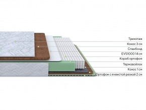 PROxSON Матрас Green Duo M/F (Tricotage Dream) 140x195 в Покачах - pokachi.mebel24.online | фото 2