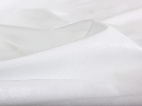 PROxSON Защитный чехол Aqua Save Plush S (Ткань влагостойкая Coral Fleece) 200x200 в Покачах - pokachi.mebel24.online | фото 6