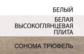 Шкаф 2D/TYP 20A, LINATE ,цвет белый/сонома трюфель в Покачах - pokachi.mebel24.online | фото 4