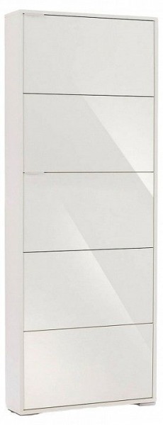 Шкаф для обуви Viva-5S в Покачах - pokachi.mebel24.online | фото