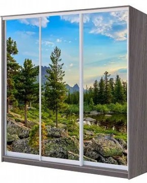 Шкаф-купе ХИТ 22-20/2-777 ПРИРОДА в Покачах - pokachi.mebel24.online | фото