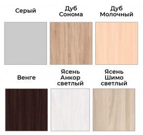 Шкаф-купе ХИТ 22-4-14-88 (420) в Покачах - pokachi.mebel24.online | фото 4