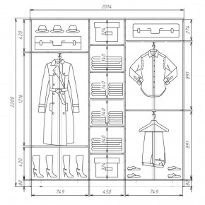 Шкаф-купе ХИТ 22-4-20-222 (420) в Покачах - pokachi.mebel24.online | фото 2