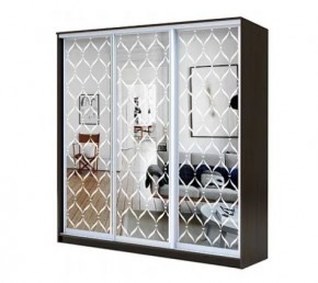 Шкаф-купе ХИТ 22-4-20-666 СЕТКА в Покачах - pokachi.mebel24.online | фото