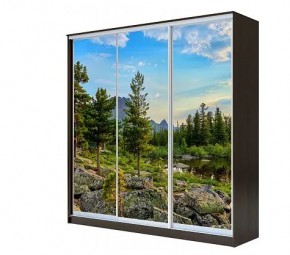 Шкаф-купе ХИТ 22-4-20-777 (420) в Покачах - pokachi.mebel24.online | фото
