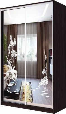 Шкаф-купе ХИТ 23-4-12-66 ЦАПЛИ в Покачах - pokachi.mebel24.online | фото