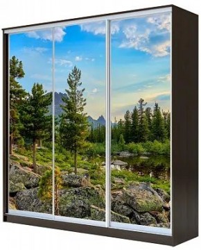 Шкаф-купе ХИТ 23-4-18-777 ПРИРОДА в Покачах - pokachi.mebel24.online | фото