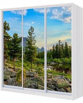 Шкаф-купе ХИТ 23-4-20/2-777 ПРИРОДА в Покачах - pokachi.mebel24.online | фото