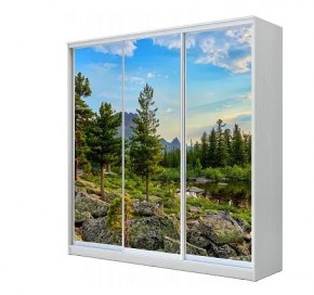 Шкаф-купе ХИТ 23-4-20-777 (420) в Покачах - pokachi.mebel24.online | фото