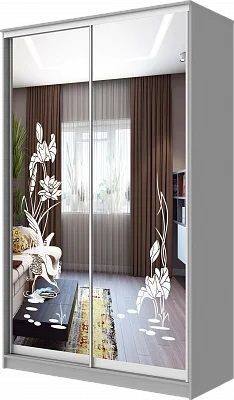 Шкаф-купе ХИТ 24-15-66 ЦАПЛИ в Покачах - pokachi.mebel24.online | фото